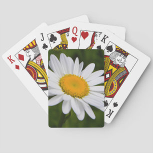 Daisy in Bloom Playing Cards