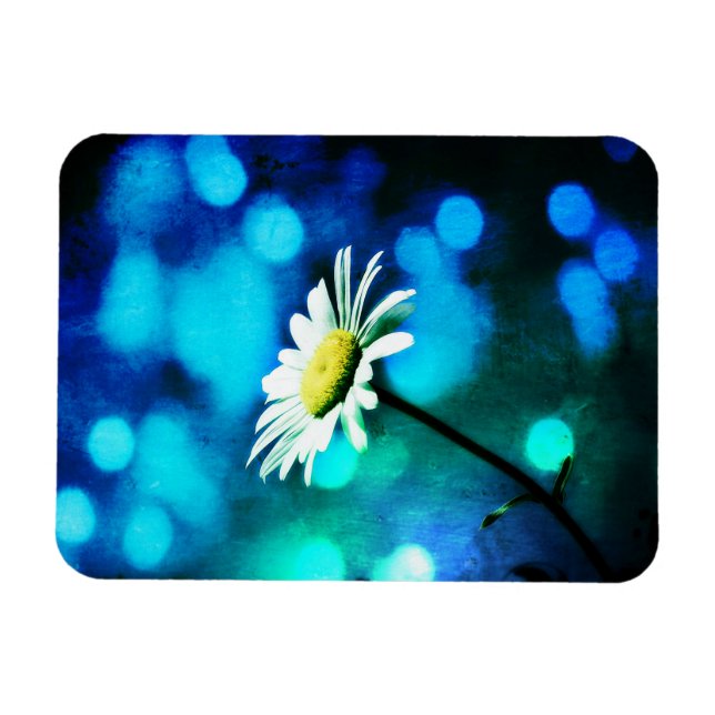 Daisy in blue and green lights magnet (Horizontal)