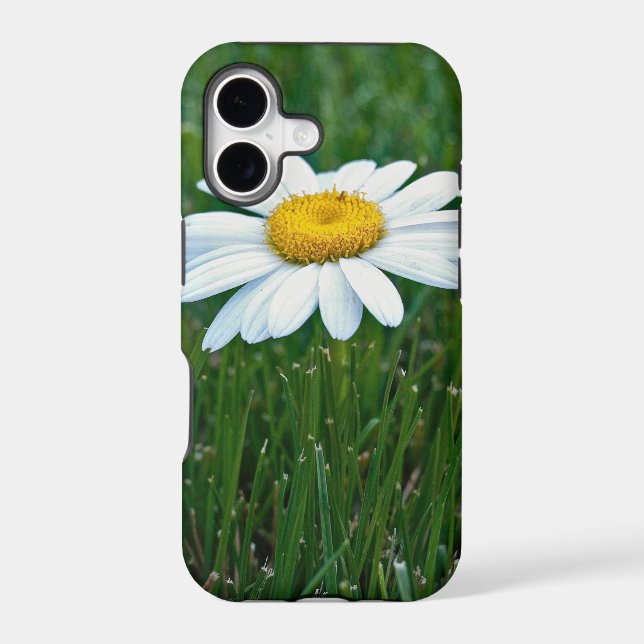 Daisy in grass (Back)