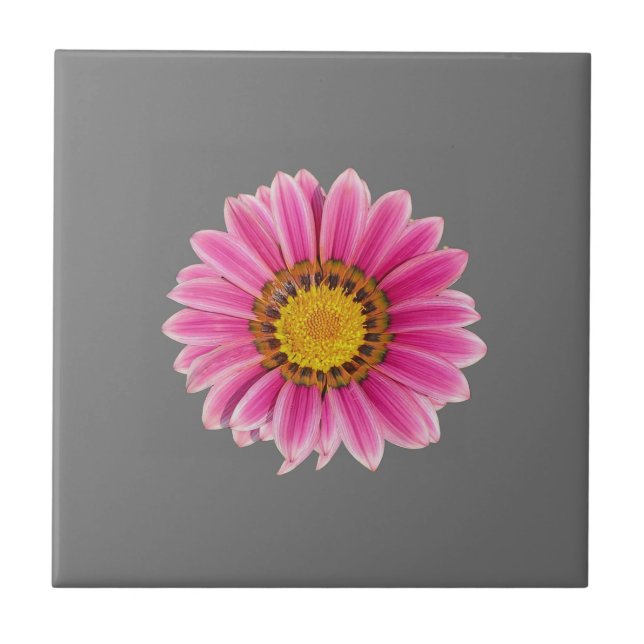 Daisy In Pink Tile (Front)