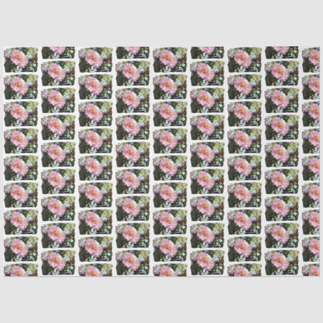 Daisy in Pink Tissue Paper (Front)