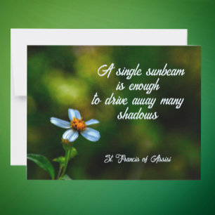Daisy in Shadows St Francis of Assisi Quote Card