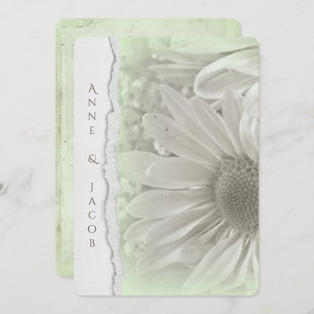 daisy in soft green hue with torn paper edge invitation (Front/Back)