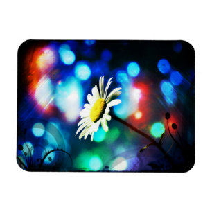 Daisy in Sparkling Lights Magnet