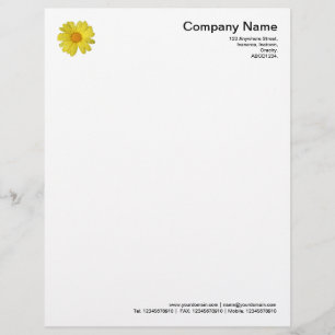 Daisy in the Rain Letterhead