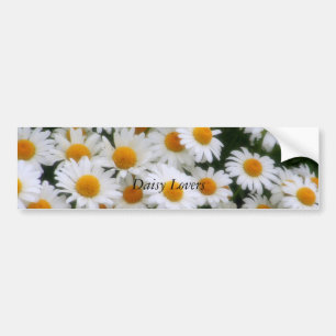, Daisy Lovers Bumper Sticker