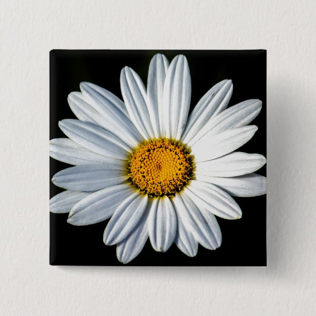 Daisy Mae Button (Front)