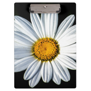 Daisy Mae Clipboard