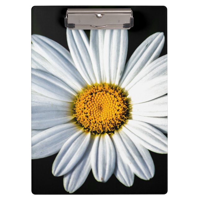 Daisy Mae Clipboard (Front)