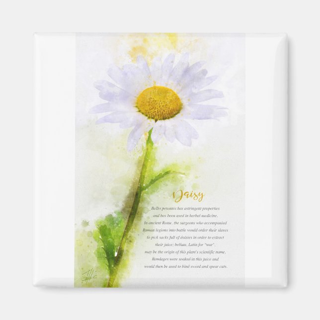 Daisy Magnet (Front)