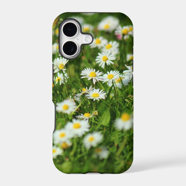 Daisy Meadow (Back)