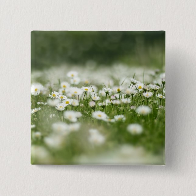 Daisy Meadow 2 Inch Square Button (Front)