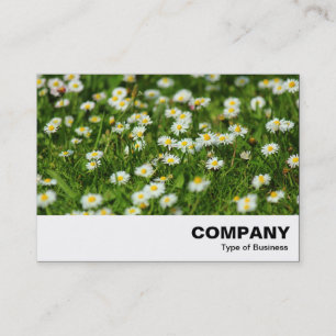 Daisy Meadow Business Card