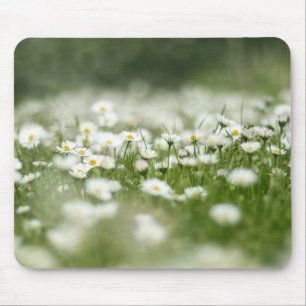 Daisy Meadow Mouse Pad
