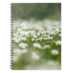Daisy Meadow Notebook