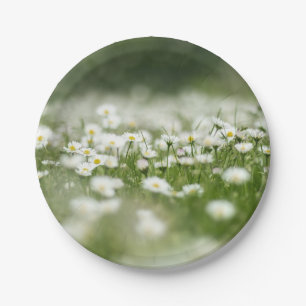 Daisy Meadow Paper Plate
