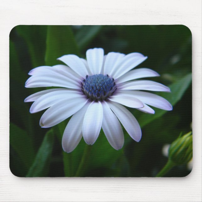 Daisy Mousepad (Front)