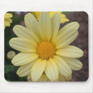 Daisy Mousepad