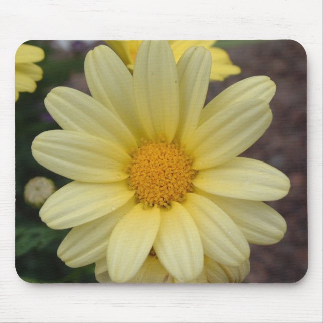 Daisy Mousepad (Front)