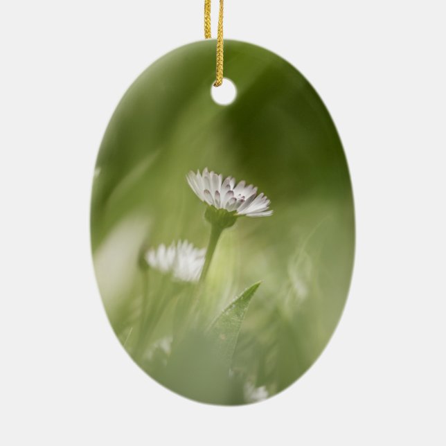 Daisy nature photo ceramic ornament (Back)