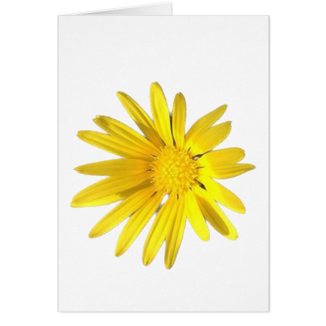 Daisy Note - Blank for your personalization (Front)