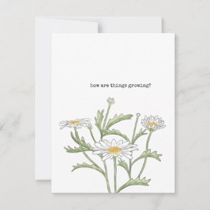 Daisy Note Card