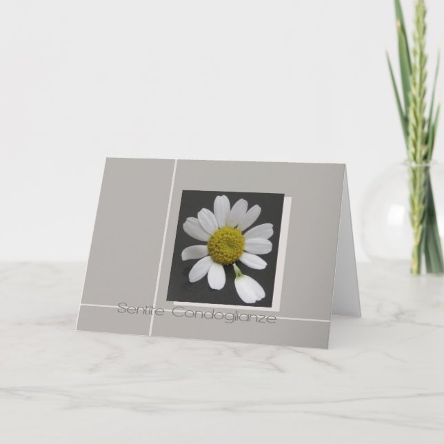 daisy on grey italian sympathy card (Front)