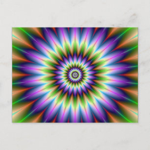 Daisy Petals Post Card