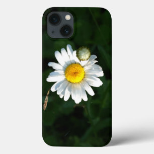 Daisy Photo  iPhone 6/6s, Tough Xtreme iPhone 13 Case