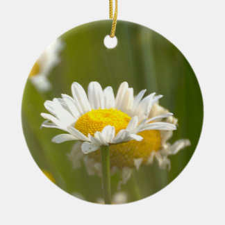 Daisy Photo Ornament