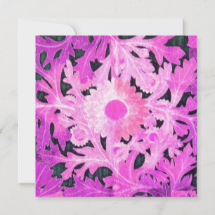 DAISY, pink  black white Announcement