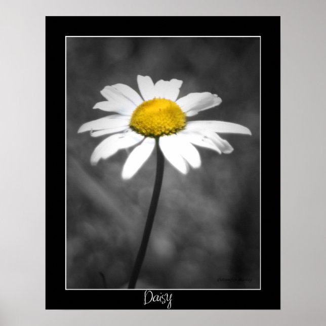 Daisy Poster (Front)