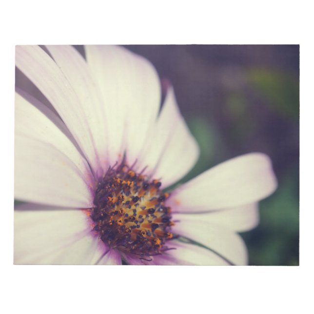 Daisy print. notepad (Front)
