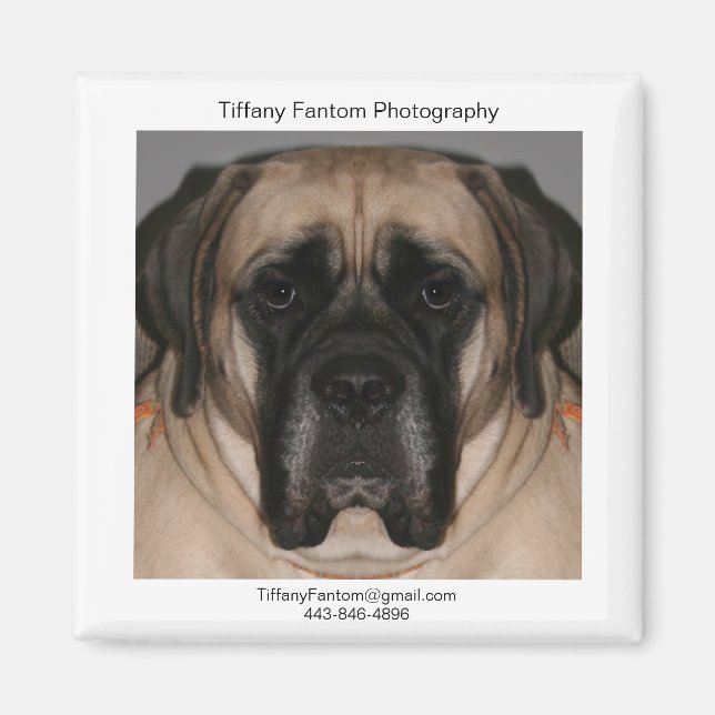 Daisy Promo Magnet (Front)