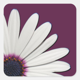 Daisy Purple Envelope Seals