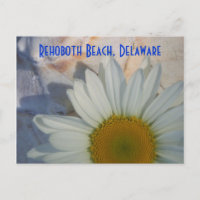 Daisy Rehoboth Beach Postcard