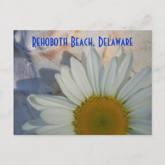 Daisy Rehoboth Beach Postcard