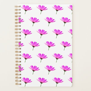 Daisy rose