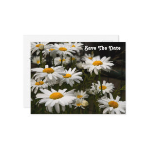 Daisy Save The Date Postcard