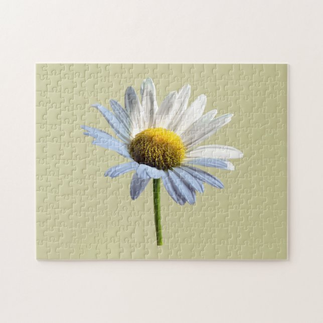 Daisy Shadow and Light Jigsaw Puzzle (Horizontal)