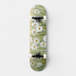 Daisy Spring I Skateboard
