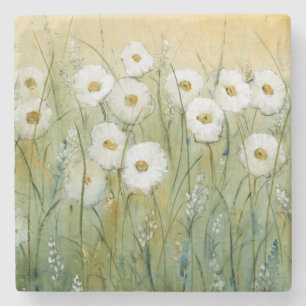 Daisy Spring I Stone Coaster