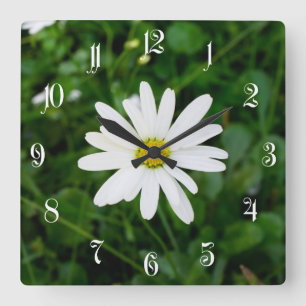 Daisy Square Wall Clock