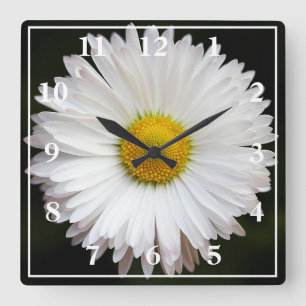 Daisy Square Wall Clock