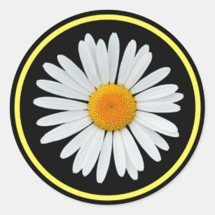 Daisy Stickers Big Bright Bold Black Yellow White