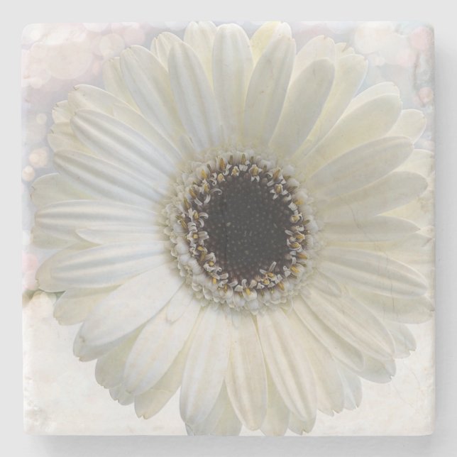 Daisy Stone Coaster (Front)