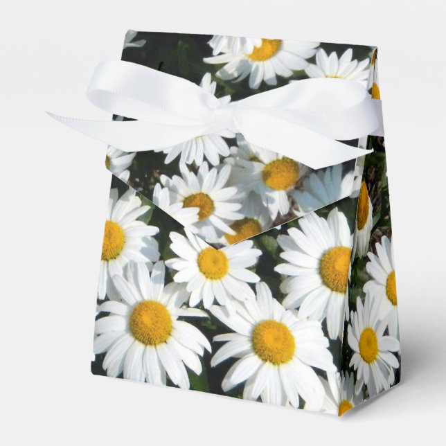 Daisy Sunshine Favour Box (Front Side)