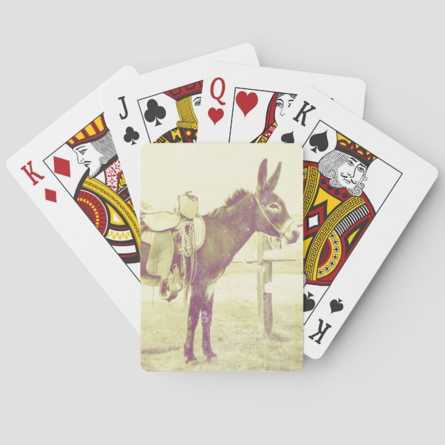 Daisy the saddle donkey playing cards (Back)