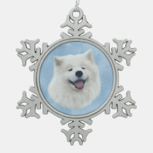 Daisy the samoyed