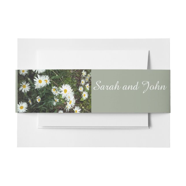 Daisy theme floral wedding Belly Bands Invitation Belly Band (Front Example)